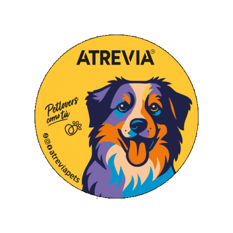 Cats Dogs Sticker by Pet Nutri