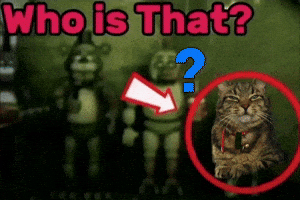 Cats Who Is That GIF