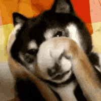 Im-going-to-embarrass-this-guy GIFs - Get the best GIF on GIPHY