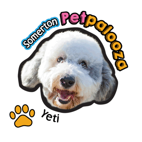Dog Paw Sticker by City of Somerton