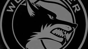 Walk On GIF by Worcester Wolves