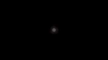 Seriously GIF