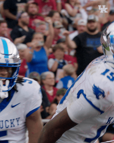 Kentucky Wildcats GIF by UK Athletics
