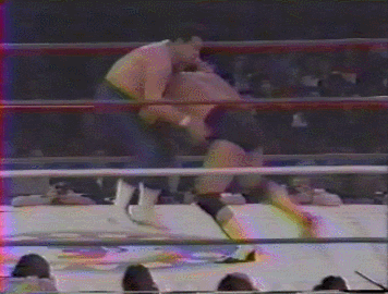 Wrestling GIF