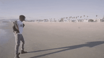 yyzcorp GIF