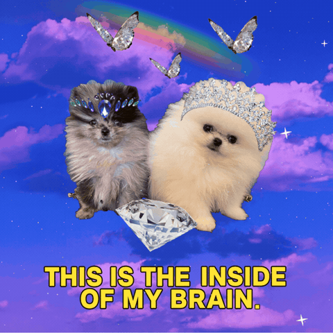 Dog Puppy GIF by Paris Hilton