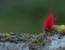 Forest Worm GIF by Omer Gal