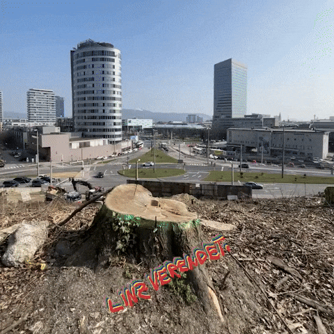 Tree Austria GIF by Linz verendet