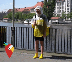 beer fail GIF by HolidayPirates