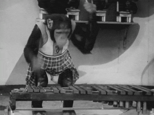 Xylophone GIFs - Get the best GIF on GIPHY