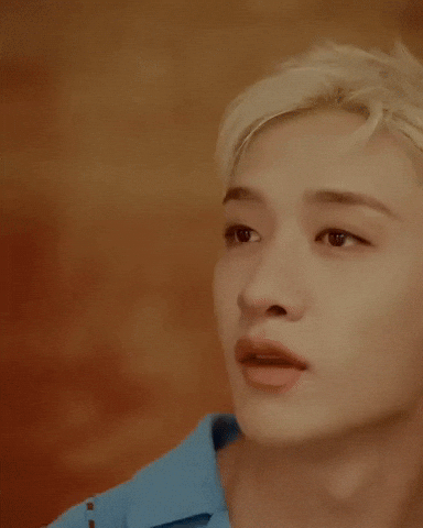 Stray Kids Skz GIF