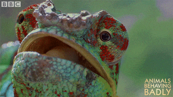 look looking GIF by BBC