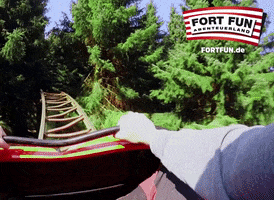 Adventure Rollercoaster GIF by FORT FUN Abenteuerland