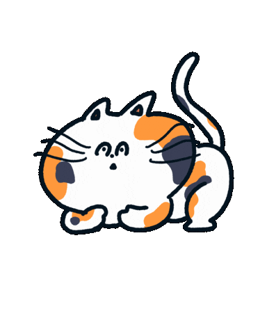 Cat What Sticker