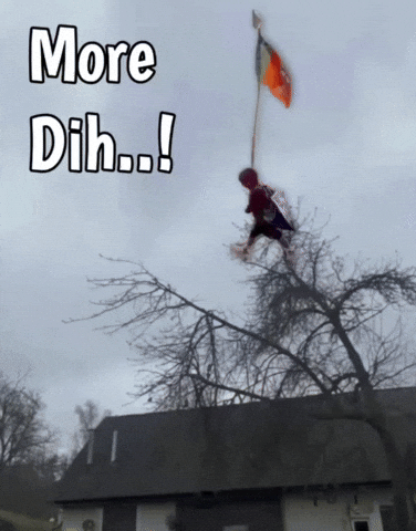 Indian Modi GIF