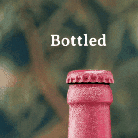 Cheers Bottle GIF by Lindemans
