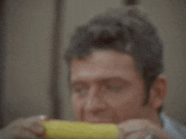 Thanksgiving GIF