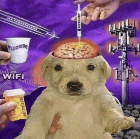 Wifi 5G GIF