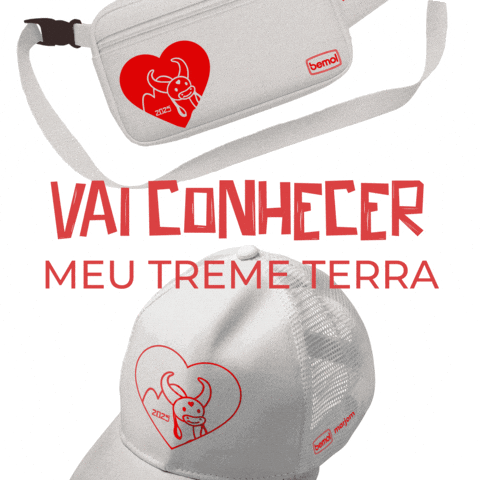 Festival Garantido GIF by Lojas Bemol