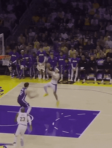Lebron James Nba GIF