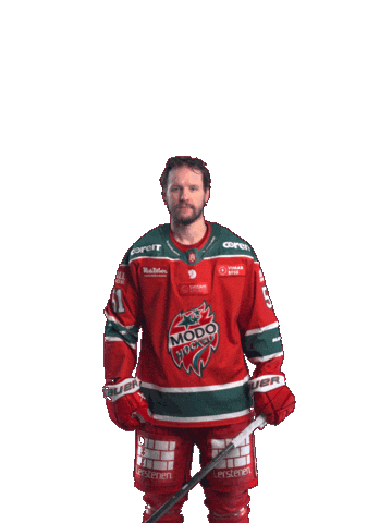 Sticker by MoDo Hockey