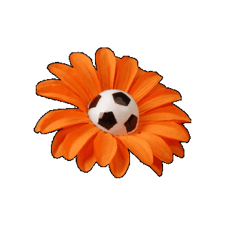 Orange Flower Sticker by Europeana