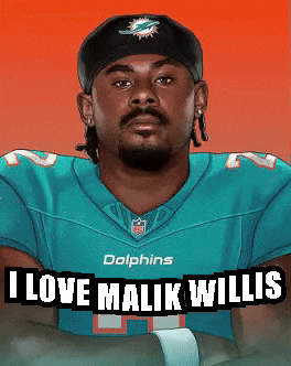 Dolphins GIF