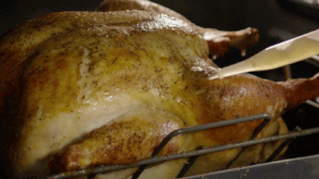 turkey time GIF