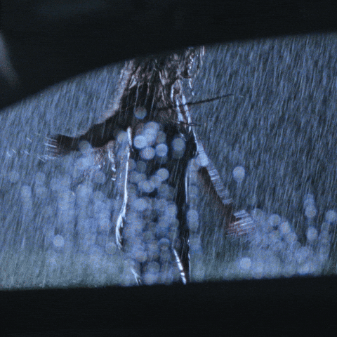 Vw Drivers Wanted GIF by Volkswagen USA