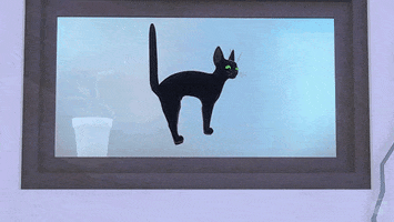Scared Black Cat GIF by Xbox