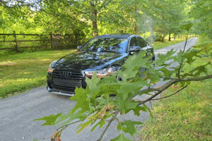 Audi A6 GIF