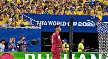 Cristiano Ronaldo Agree GIF