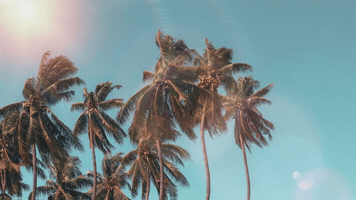 Special Effects GIF