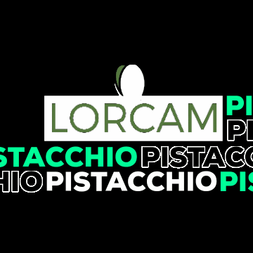 LORCAM GIF