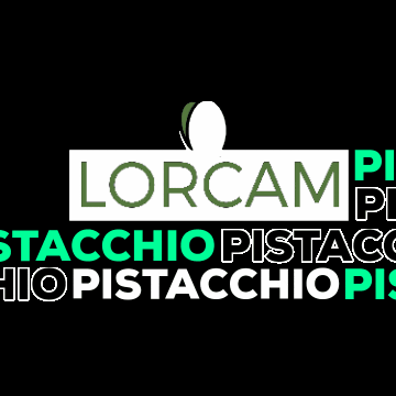 Lorcamfood pistachio pistacchio lorcam lorcam pistacchio GIF