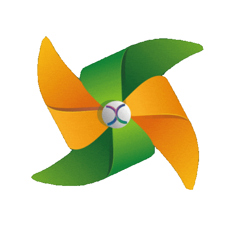 Holambra Municipalismo Sticker by Conexidades