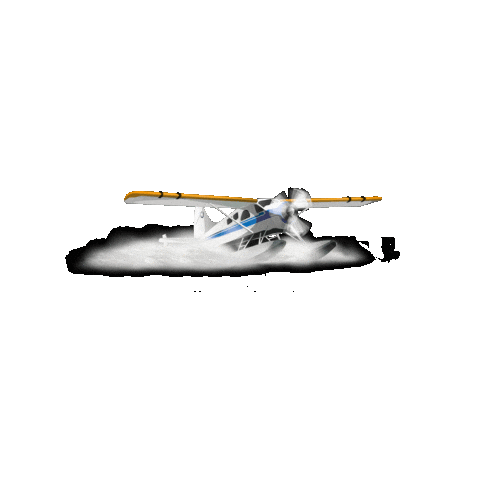 Airplane Lac Sticker by villebiscarrosse