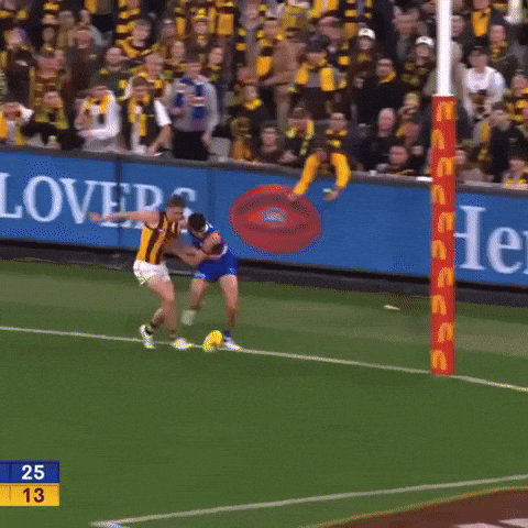 Hawthorn Hawks GIF
