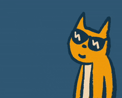 abitan cat cool thumbs up chill GIF