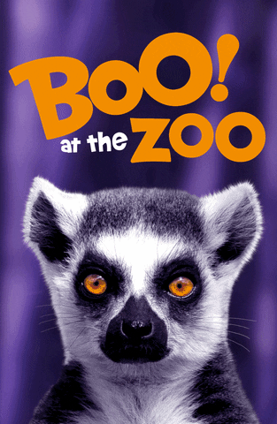 Chicago Boo GIF by Brookfield Zoo