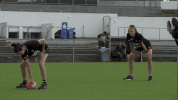 Superbowl GIF by CollingwoodFC
