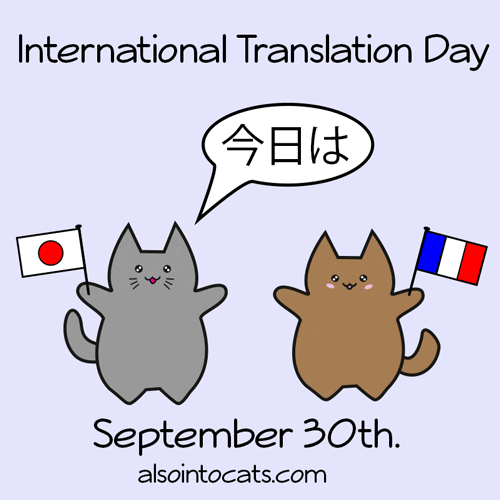 International Cat Day GIF