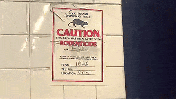 200.gif?cid=fc005b08e9e027e827c39a510a74e694c6b0258348442b7e&rid=200.gif&ct=g