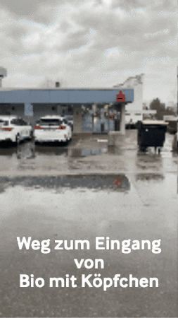 Workshop Bio Mit Köpfchen GIF