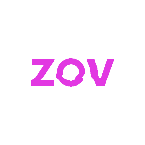 ZOV Sticker