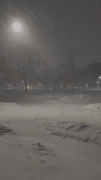 Winter Storm Brings Heavy Snowfall to Minneapolis
