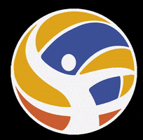 Volleyball GIF