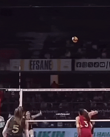Volleybal Vakifbank GIF