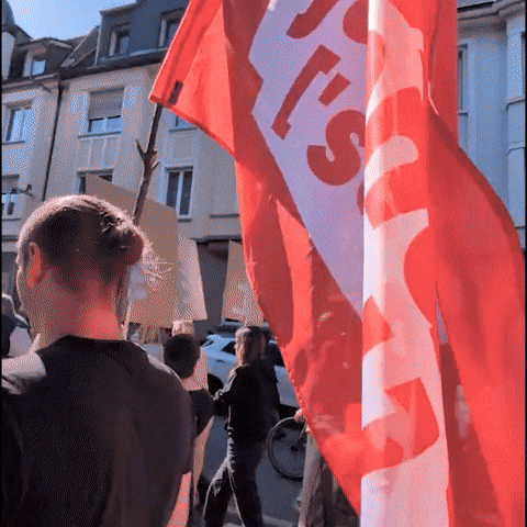 Flag Demo GIF by Die Linke Schwelm