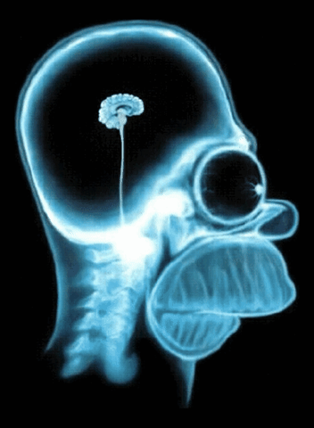 Stupid GIF